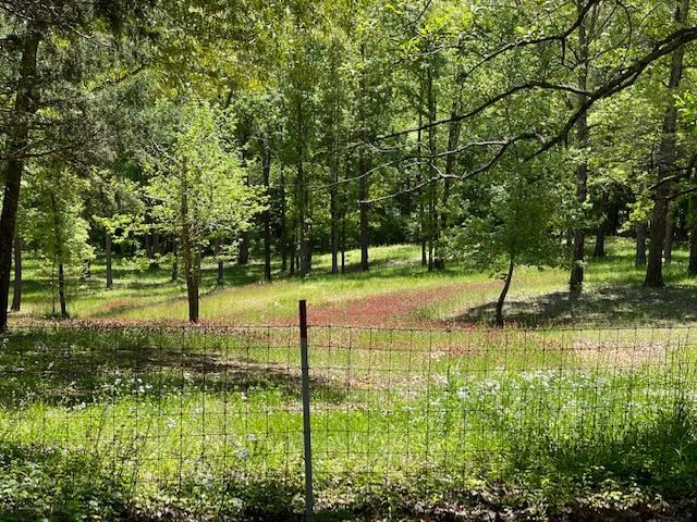 805 Cardwell Road Middleton, TN 38052 - Photo 8 of 18 Gallery Image 8
