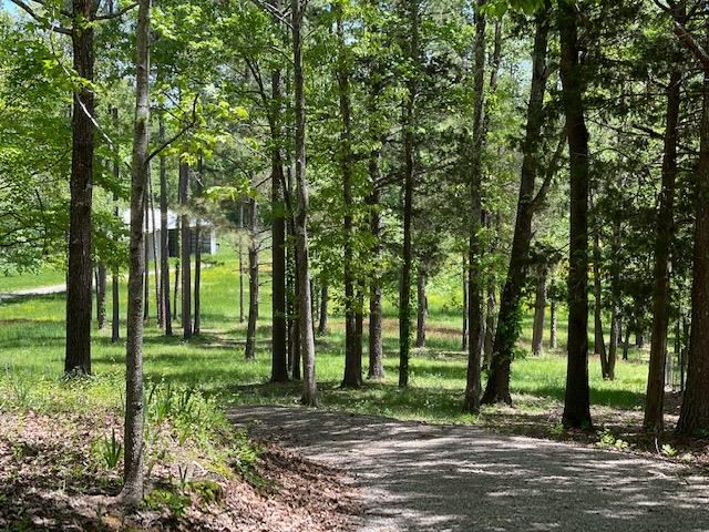 805 Cardwell Road Middleton, TN 38052 - Photo 9 of 18 Gallery Image 9