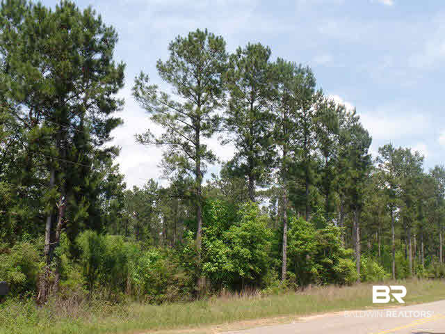 500 County Road 462 Kinston, AL 36453 - Photo 18 of 25