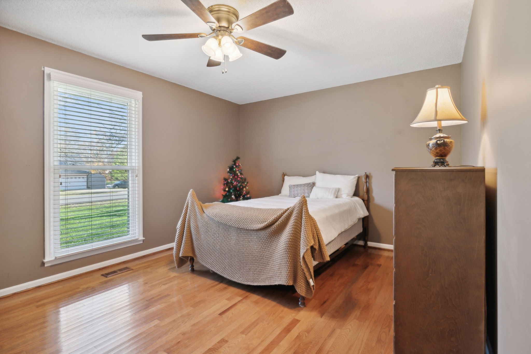 217 Pleasant Run Road Smyrna, TN 37167 - Photo 17 of 31 Gallery Image 17