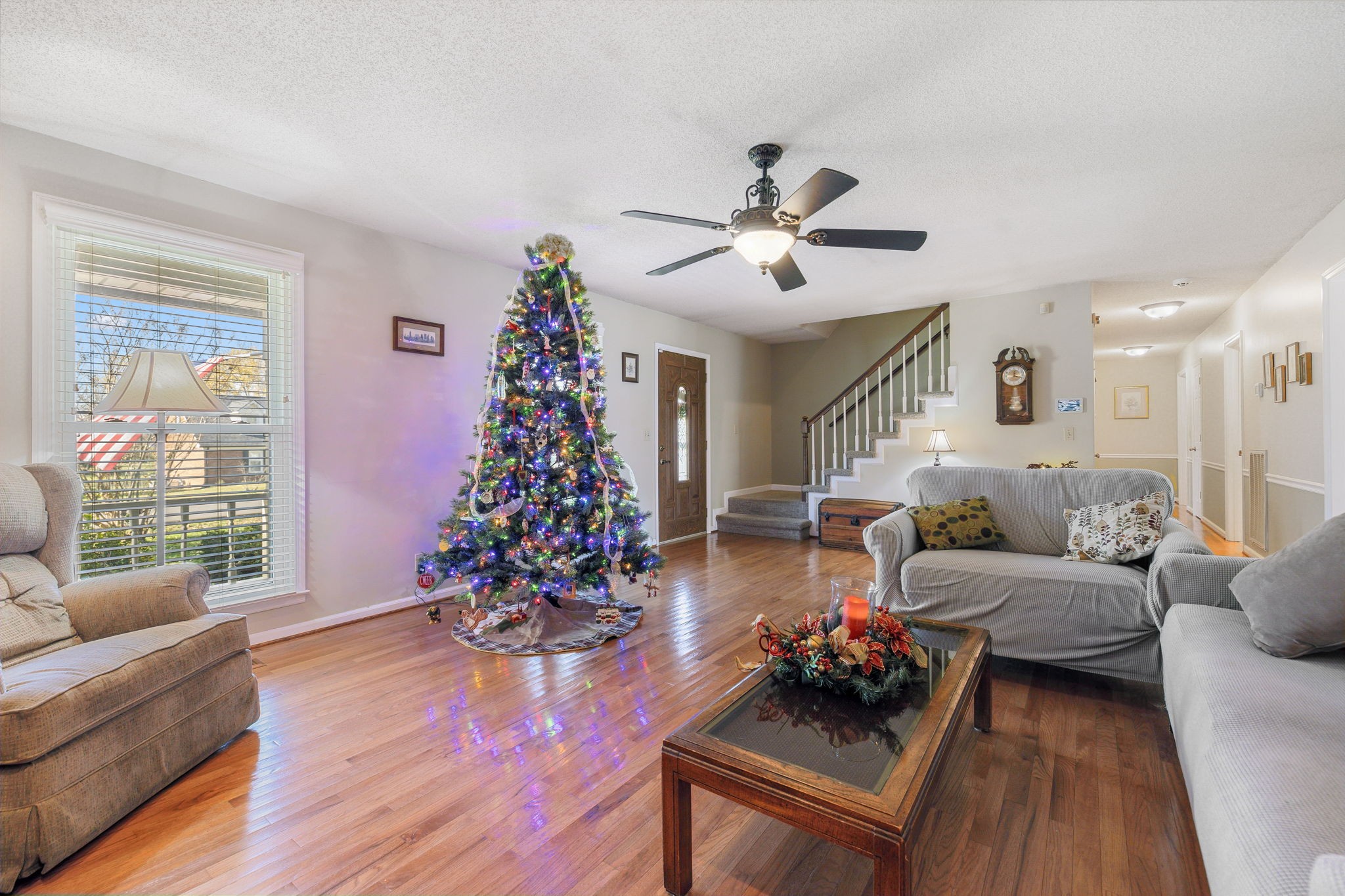 217 Pleasant Run Road Smyrna, TN 37167 - Photo 10 of 31 Gallery Image 10