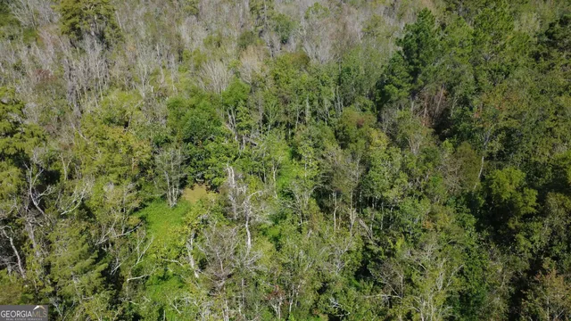 $209,500 | 0 Pine Cone Trail, Mershon, GA 31551