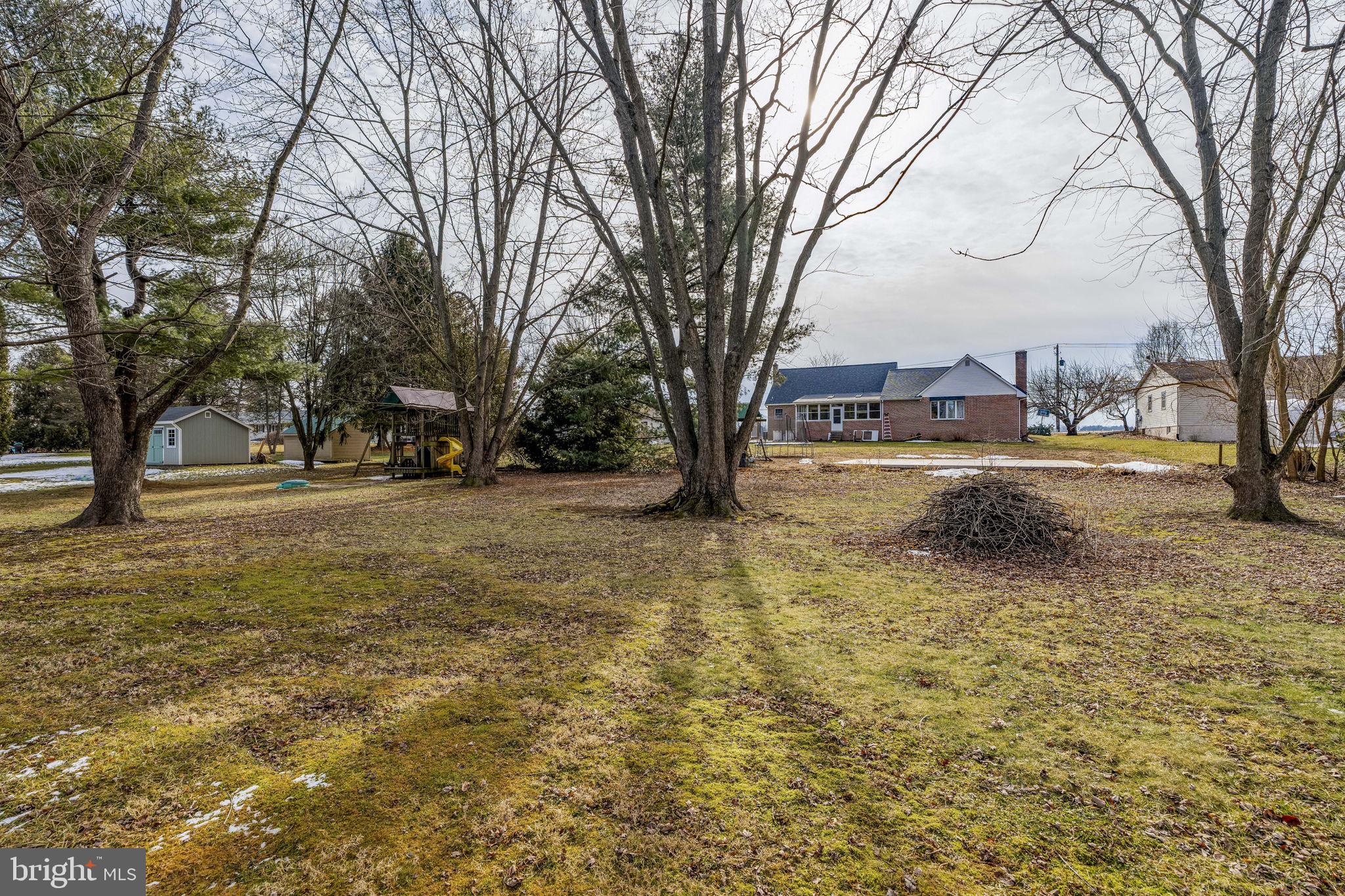 30 Buttonwood Drive Lititz, PA 17543 - Photo 9 of 43 a view of yard with tree