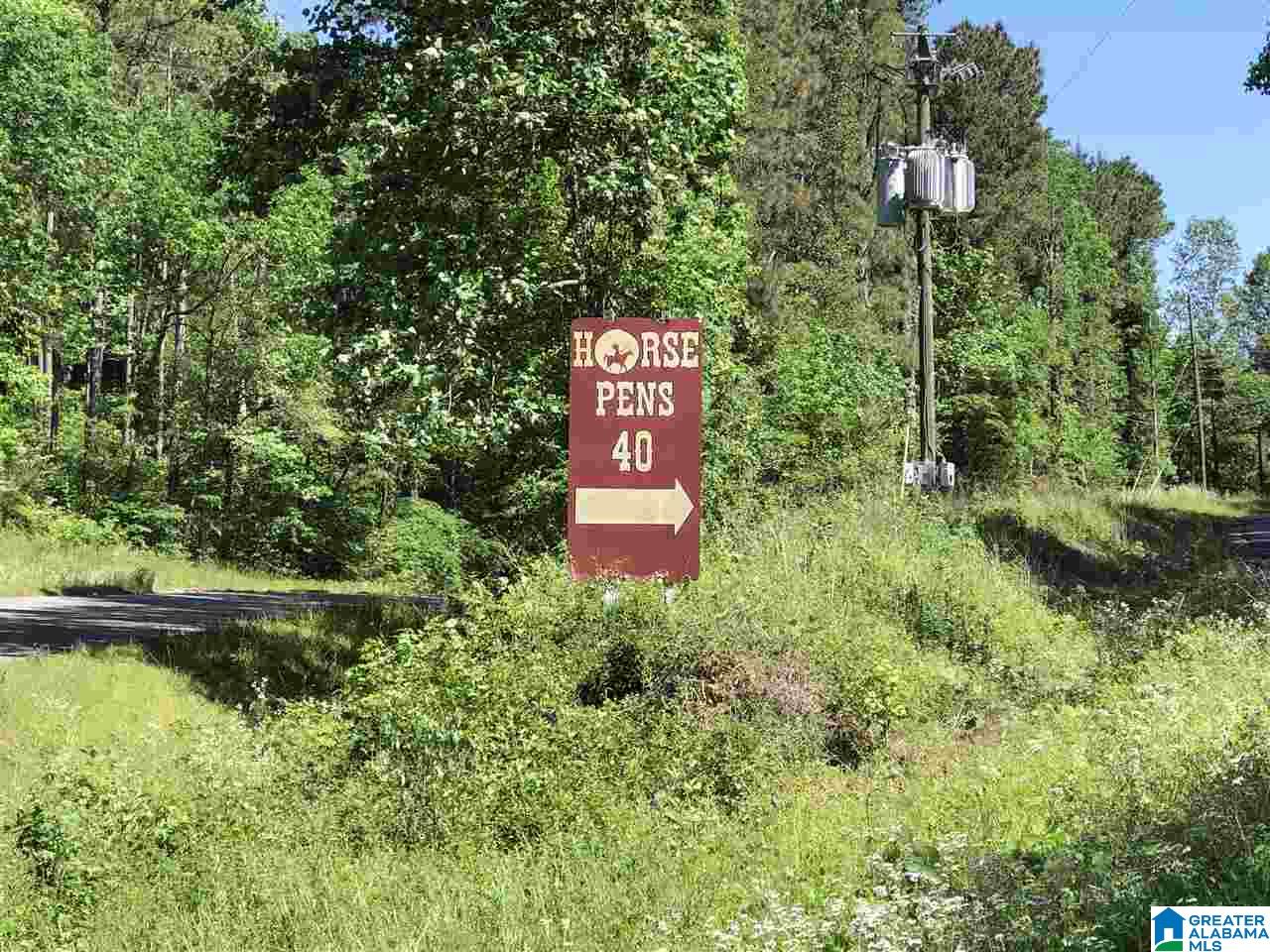 2678 Airport Road Oneonta, AL 35121 - Photo 8 of 10