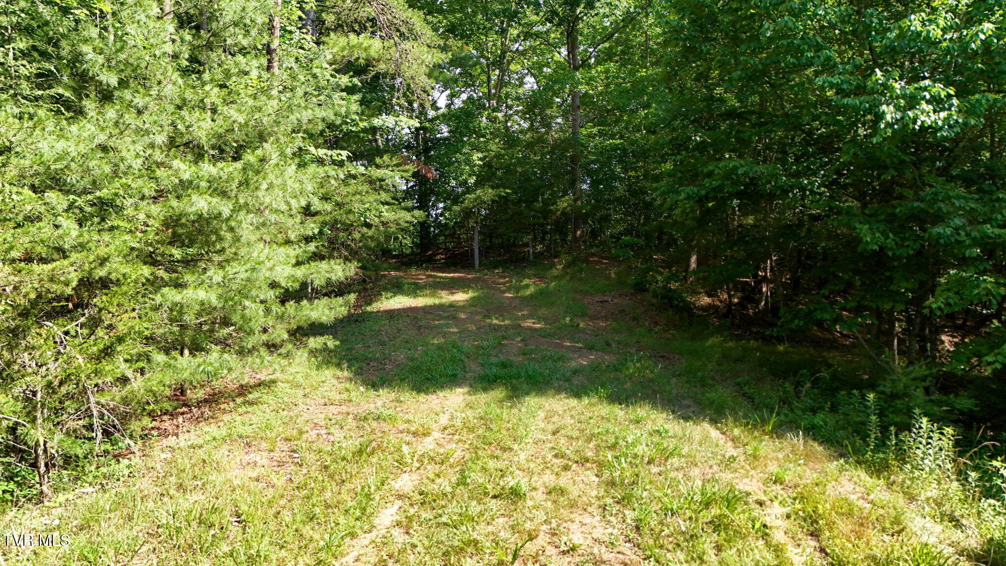 2523 Denton Valley Road, Unit 2 Bristol, TN 37620 - Photo 28 of 44 28
