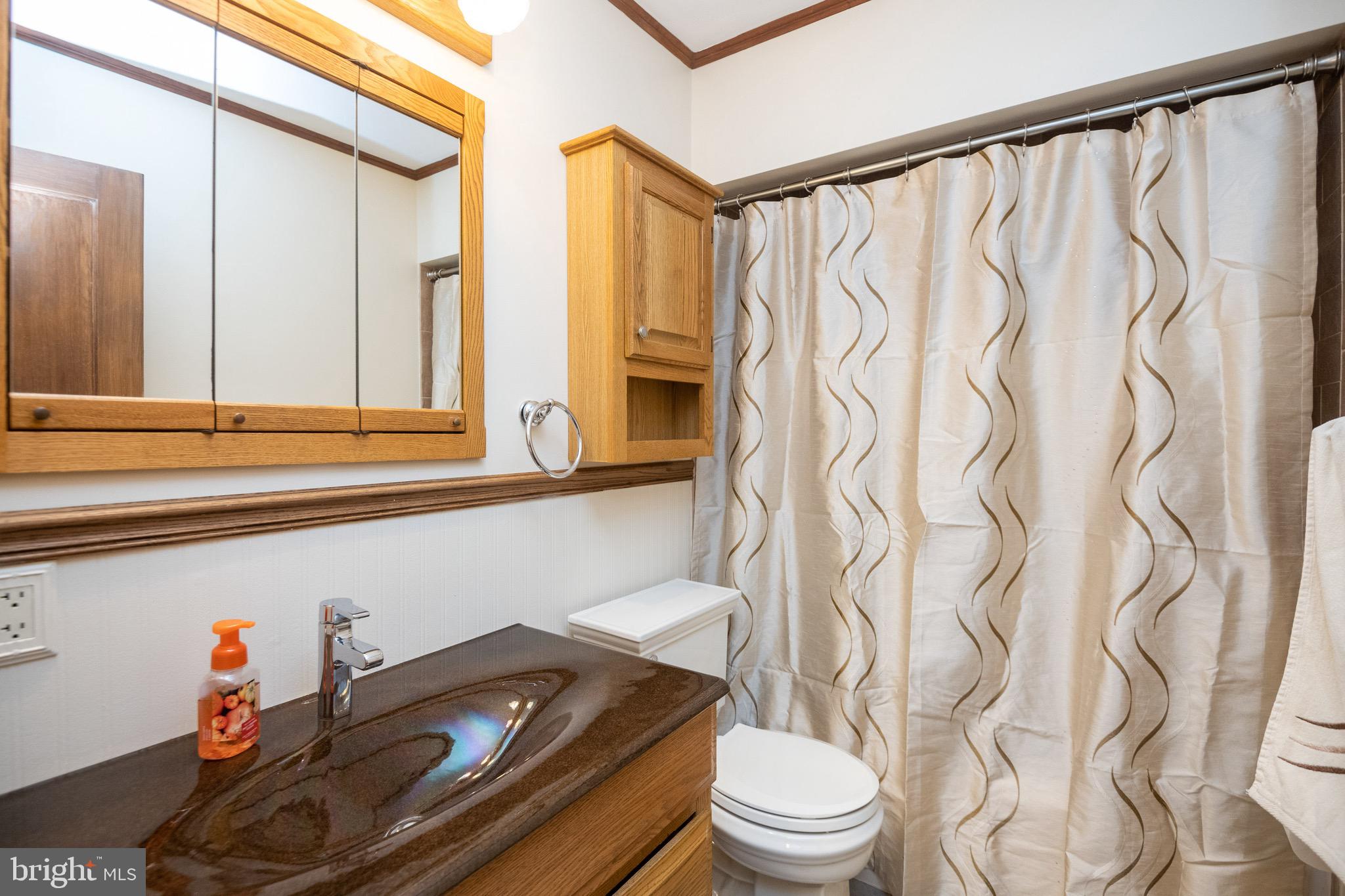 43 Honeycomb Road Baltimore, MD 21220 - Photo 19 of 28 Full Bath