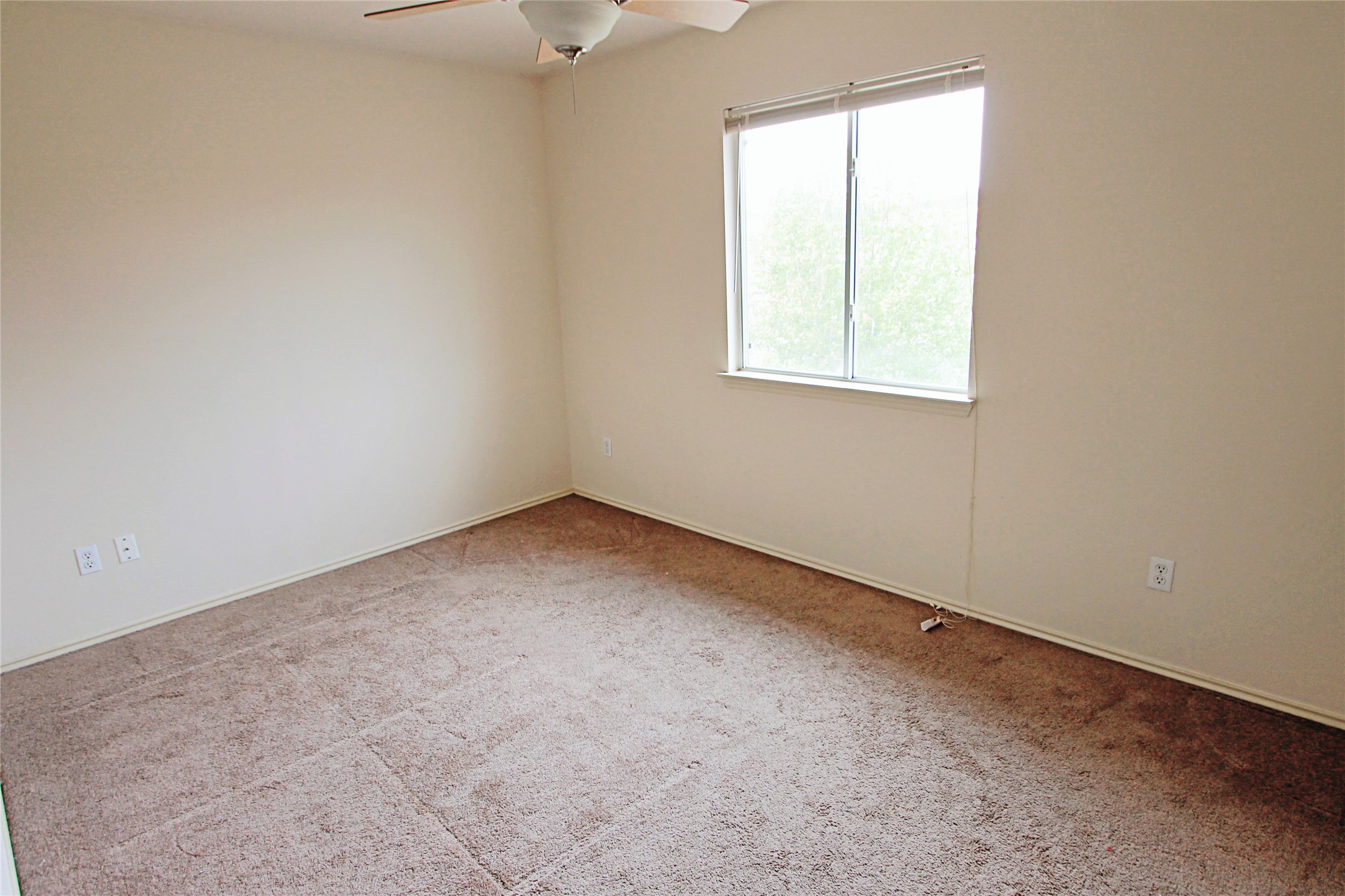 1821 Friars Tale Lane Austin, TX 78748 - Photo 16 of 20 Carpeted empty room with a ceiling fan and baseboards