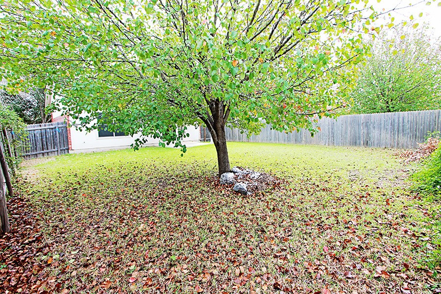 1821 Friars Tale Lane Austin, TX 78748 - Photo 19 of 20 View of fenced backyard