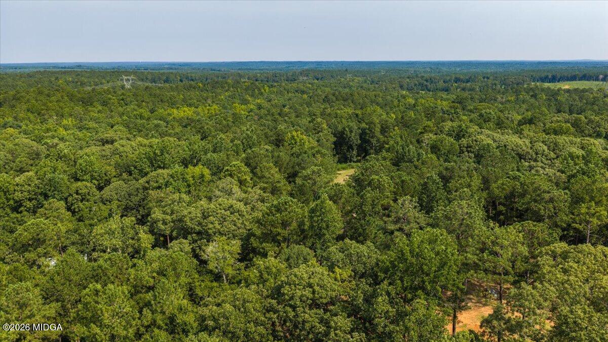 252 Rum Creek Road Juliette, GA 31046 - Photo 71 of 72 51-DJI_20260728225538_0025_D