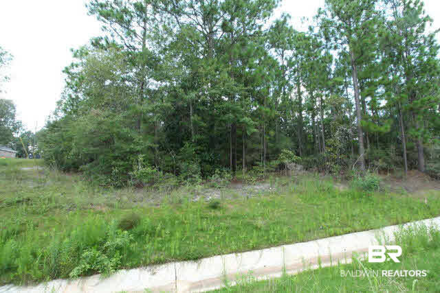 0 Timber Ridge Drive Chunchula, AL 36521 - Photo 2 of 5