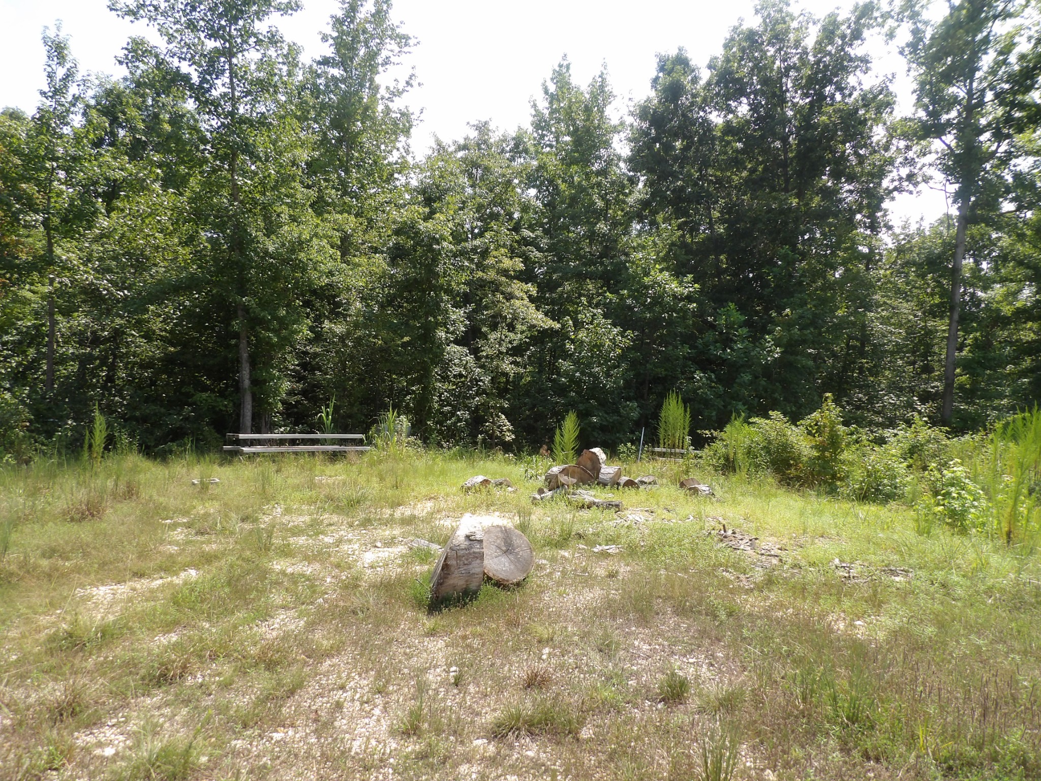 0 Old Union Church Road Holladay, TN 38341 - Photo 20 of 22 Gallery Image 20