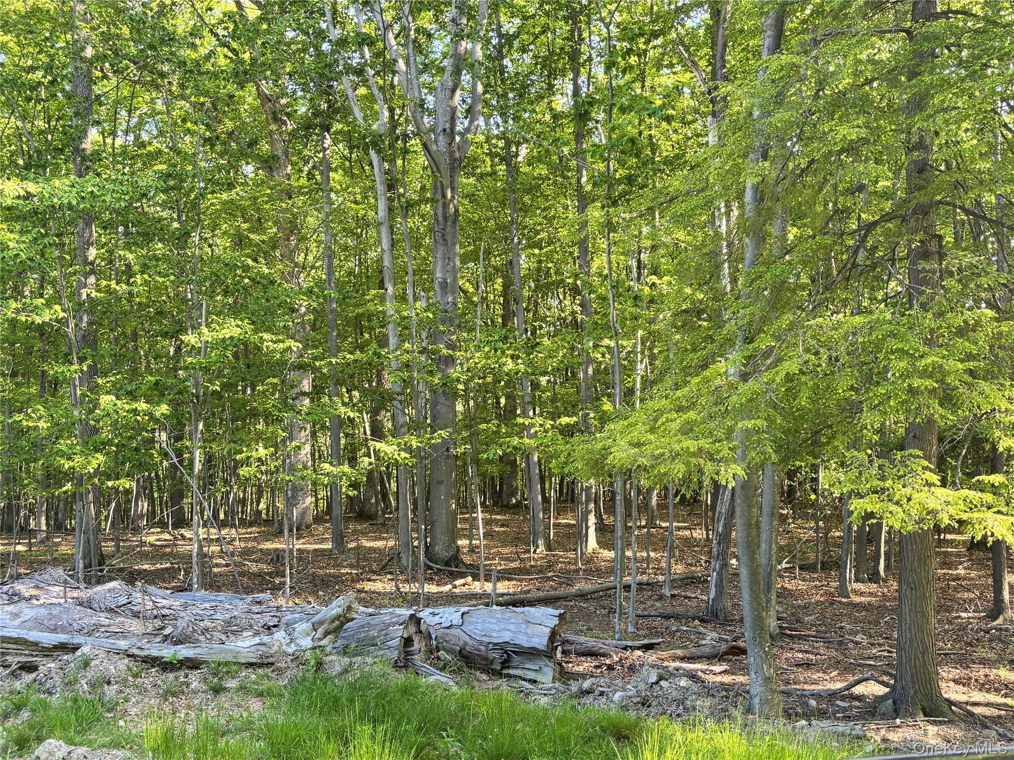 South Plank Road Westtown, NY 10998 - Photo 8 of 14