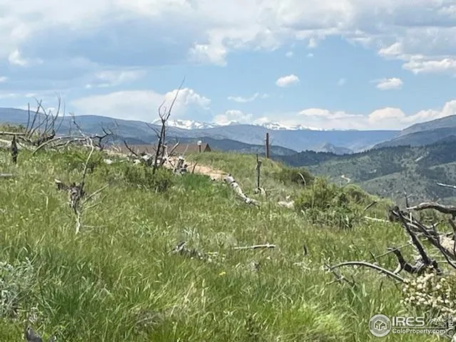 a view of a garden with a building in the background