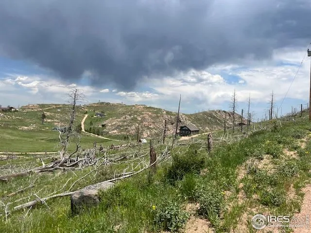 a view of a big yard with a building in the background
