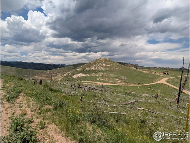 a view of a big yard