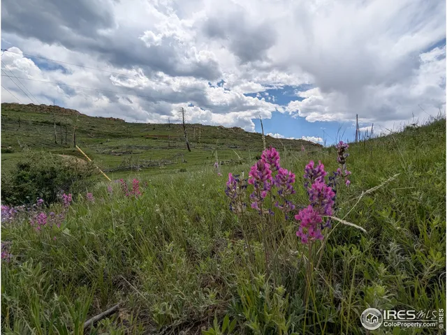 a view of a big yard