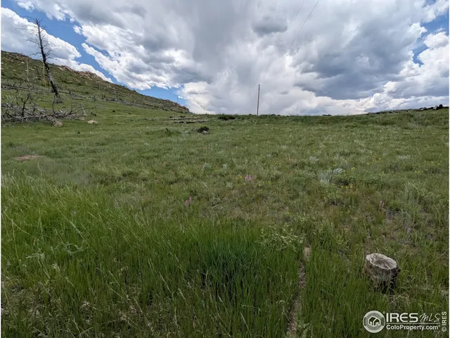 $74,900 | 598 Mt McConnell Drive, Livermore, CO 80536