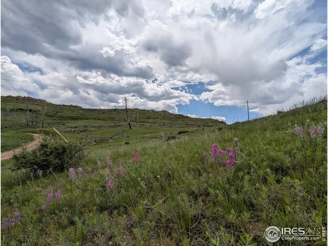 a view of a pathway both side of grassy field with shrub
