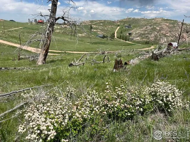 a view of a lake from a yard