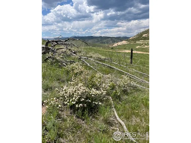 a view of a yard with an trees