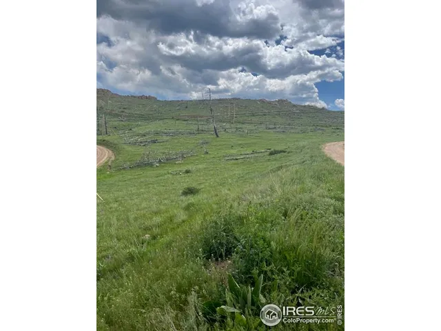 a view of a big yard