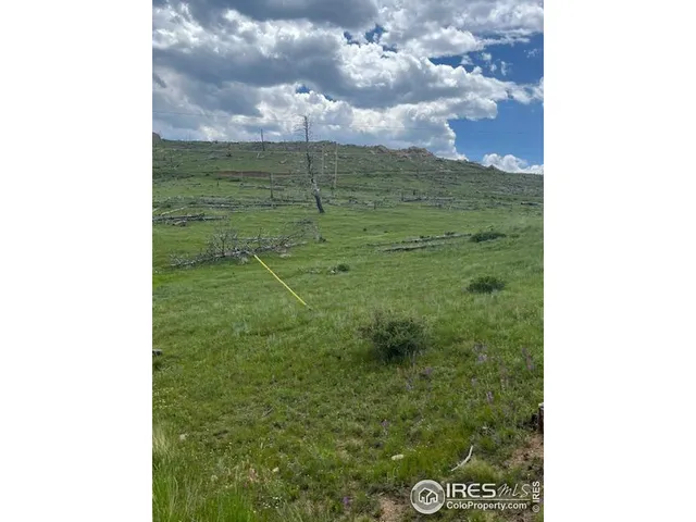 a view of a sky from a yard