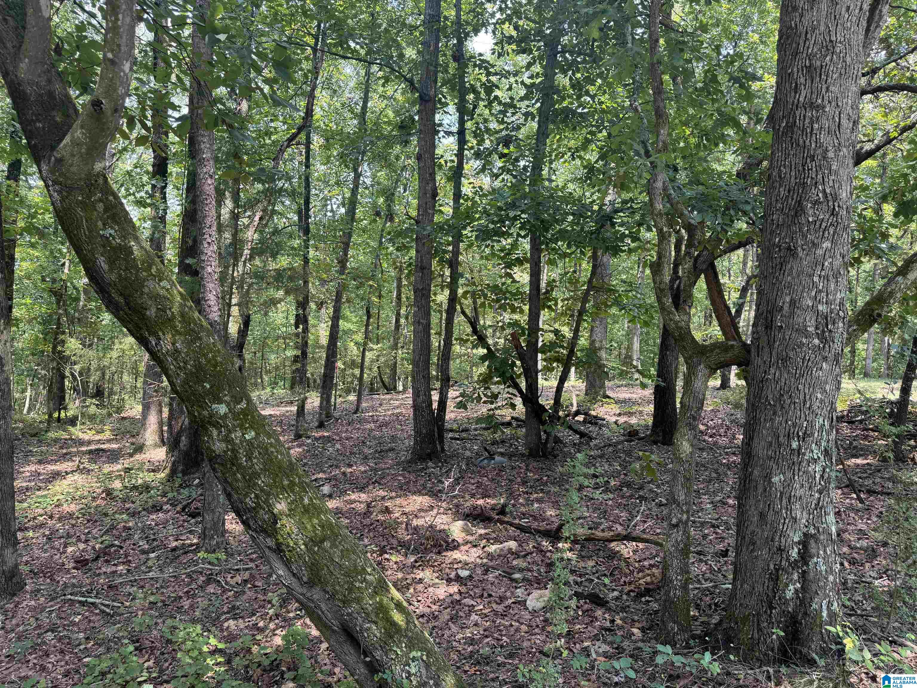 305 Stone Ridge Trail North Anniston, AL 36207 - Photo 67 of 72