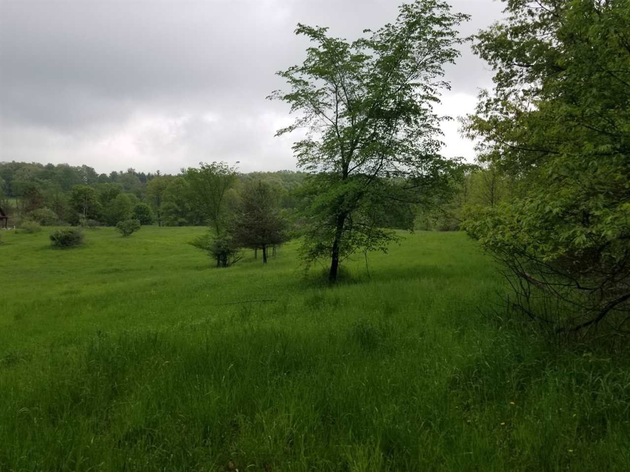 5769 Barber Road Metamora, MI 48455 - Photo 3 of 5