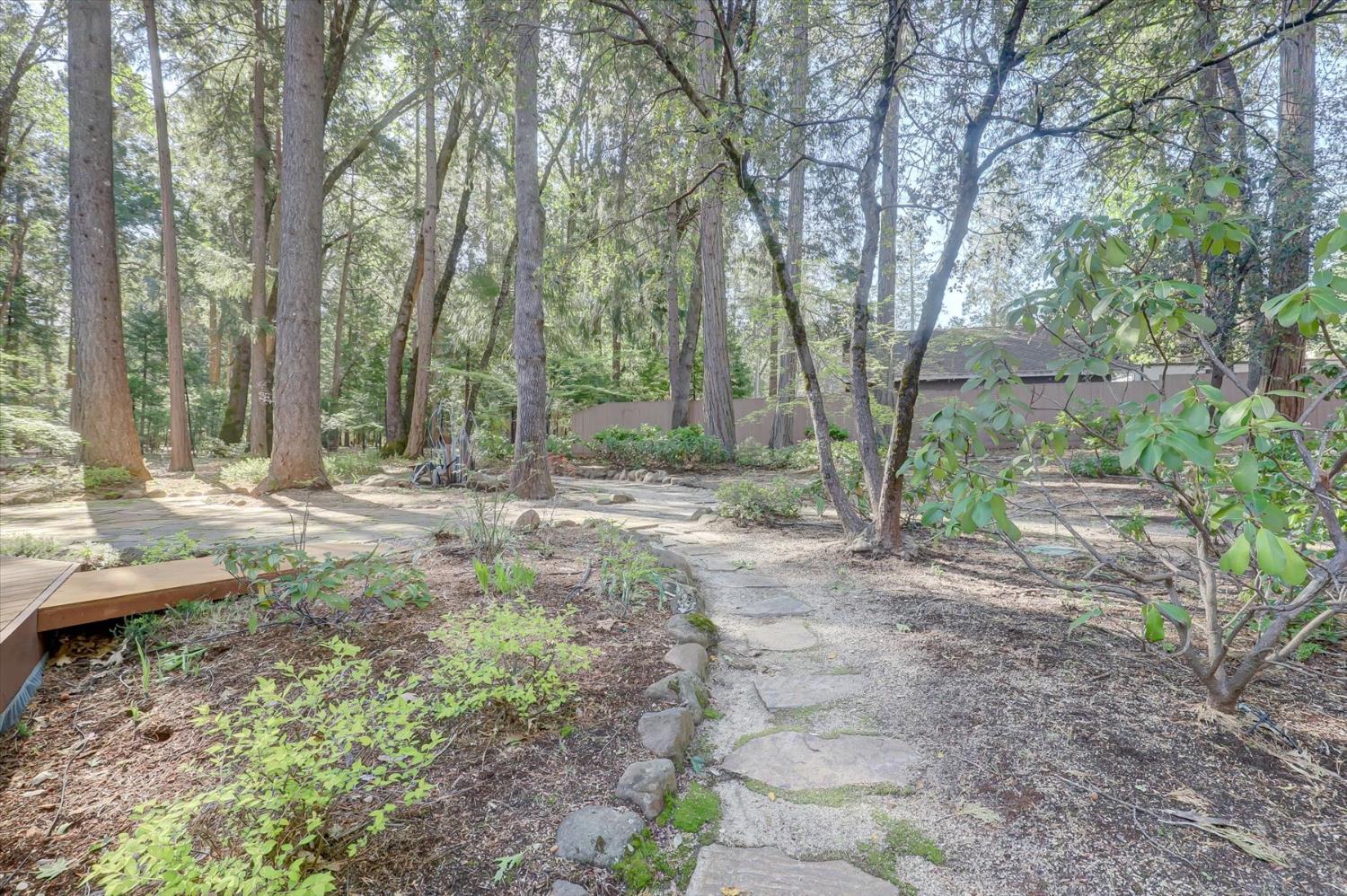 12523 Banner Lava Cap Road Nevada City, CA 95959 - Photo 31 of 57 a view of outdoor space with trees