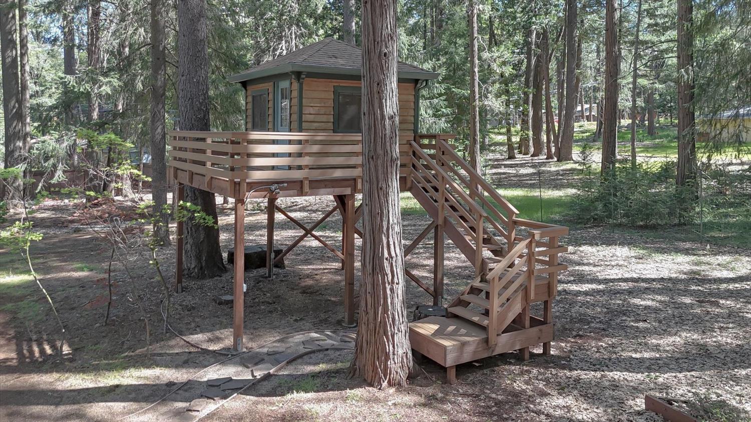 12523 Banner Lava Cap Road Nevada City, CA 95959 - Photo 35 of 57 a view of a house with backyard and trees