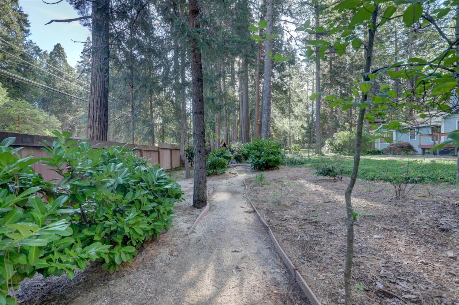 12523 Banner Lava Cap Road Nevada City, CA 95959 - Photo 38 of 57 Front Yard Walking Path