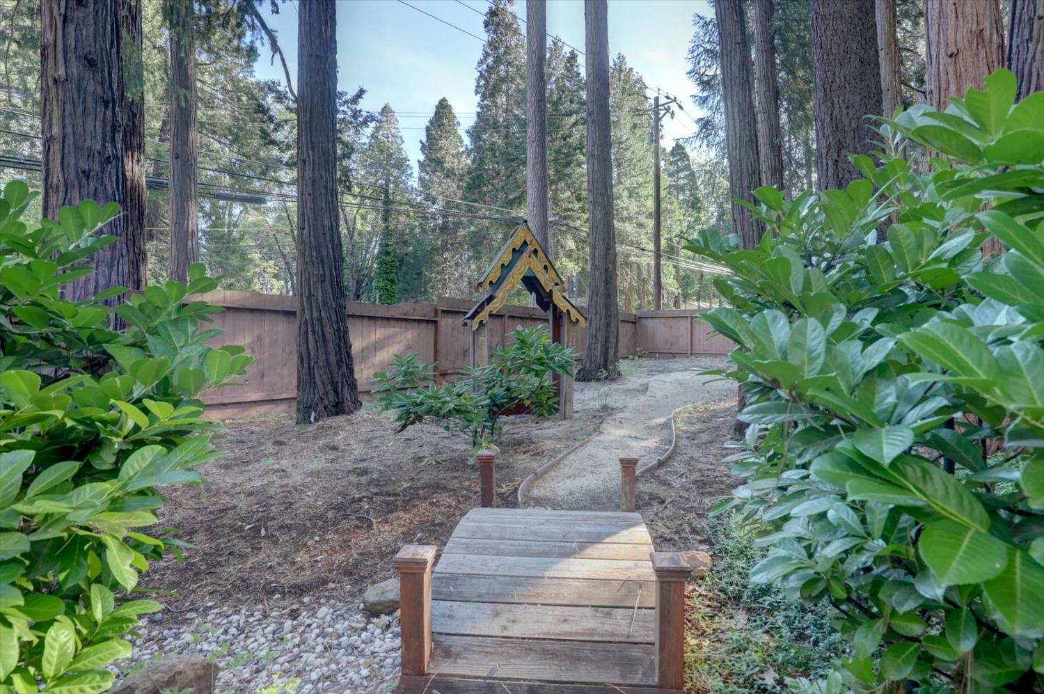 12523 Banner Lava Cap Road Nevada City, CA 95959 - Photo 39 of 57 a backyard of a house with lots of green space
