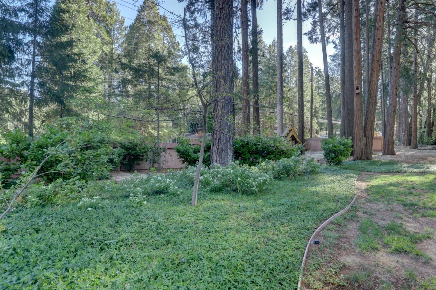 12523 Banner Lava Cap Road Nevada City, CA 95959 - Photo 41 of 57 a backyard of a house with lots of green space
