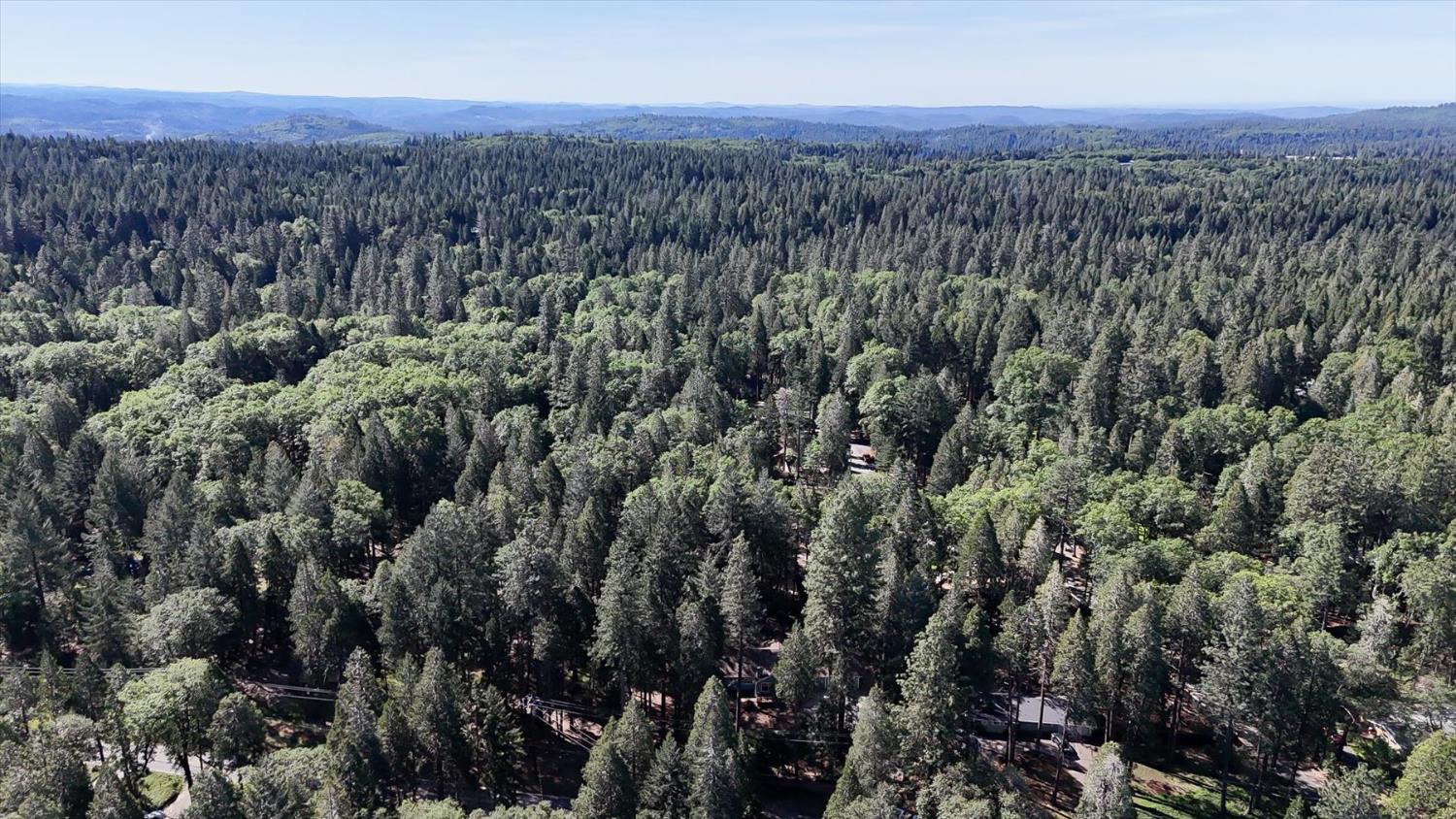 12523 Banner Lava Cap Road Nevada City, CA 95959 - Photo 47 of 57 a view of a city with lush green forest