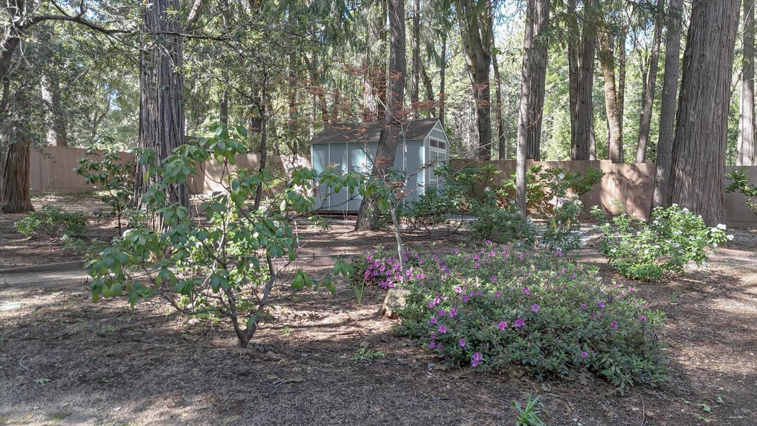 12523 Banner Lava Cap Road Nevada City, CA 95959 - Photo 48 of 57