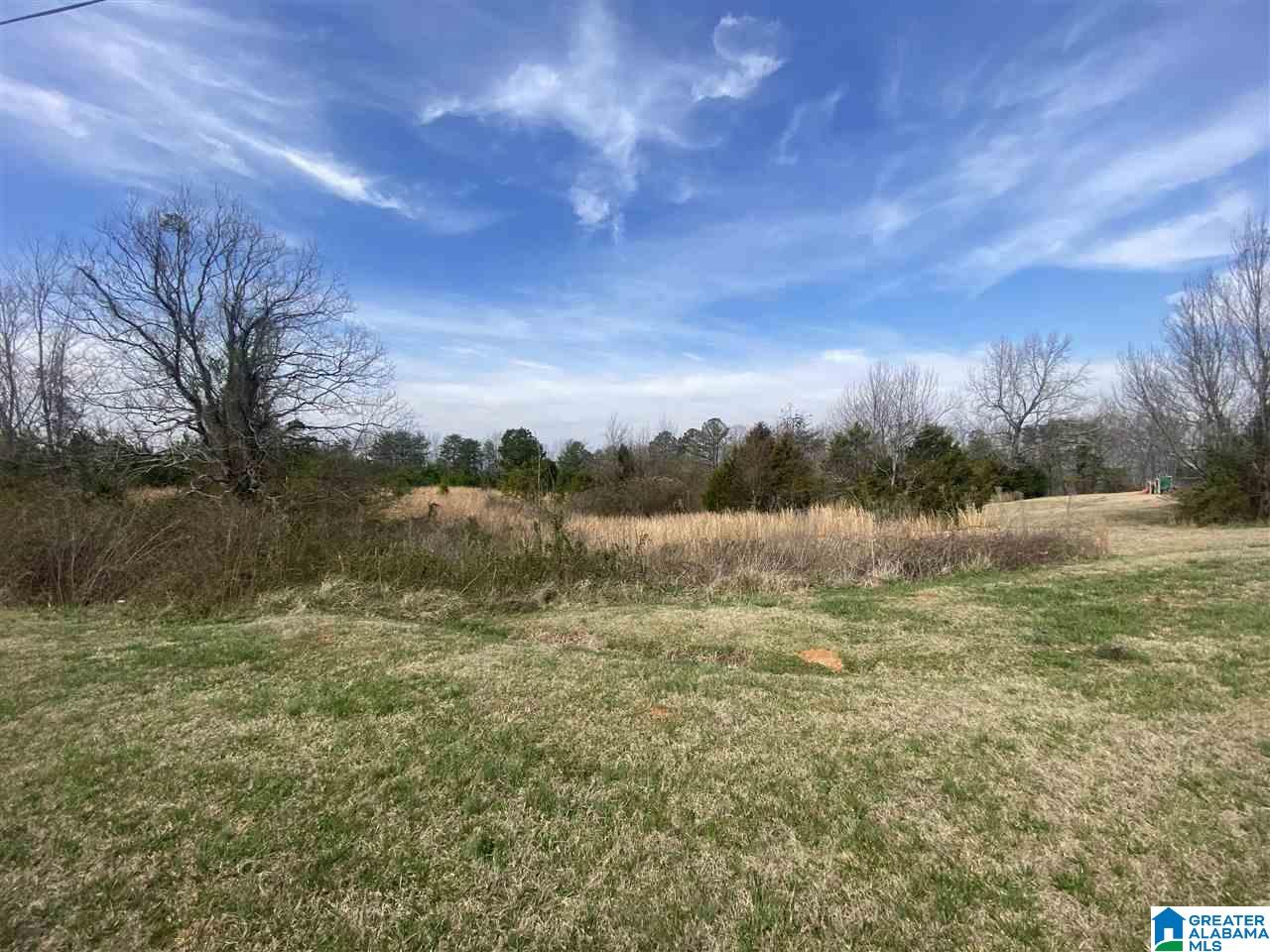 High Pointe Drive, Unit 1 Sumiton, AL 35148 - Photo 1 of 2