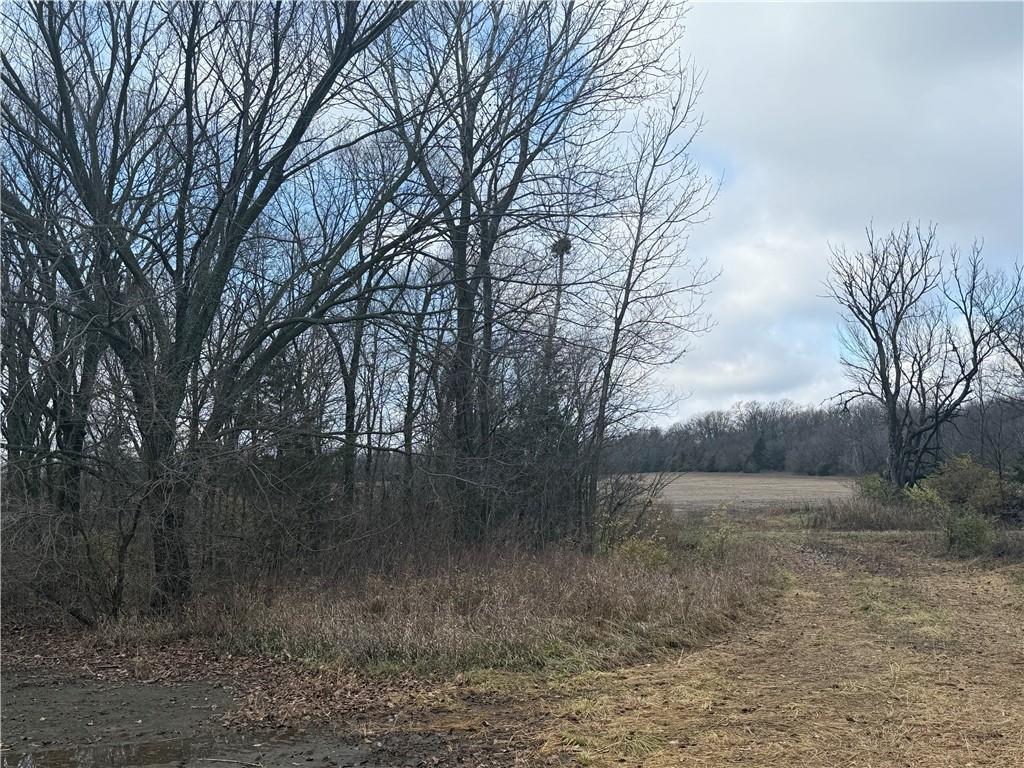 South Stubbs Road Quenemo, KS 66528 - Photo 12 of 29