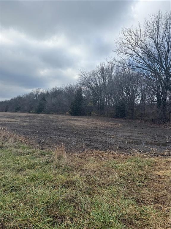 South Stubbs Road Quenemo, KS 66528 - Photo 13 of 29