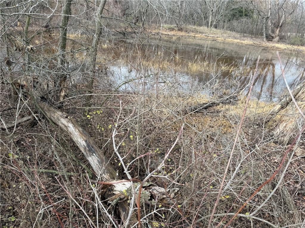 South Stubbs Road Quenemo, KS 66528 - Photo 4 of 29