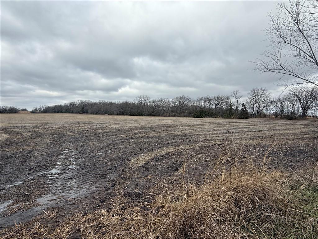South Stubbs Road Quenemo, KS 66528 - Photo 6 of 29