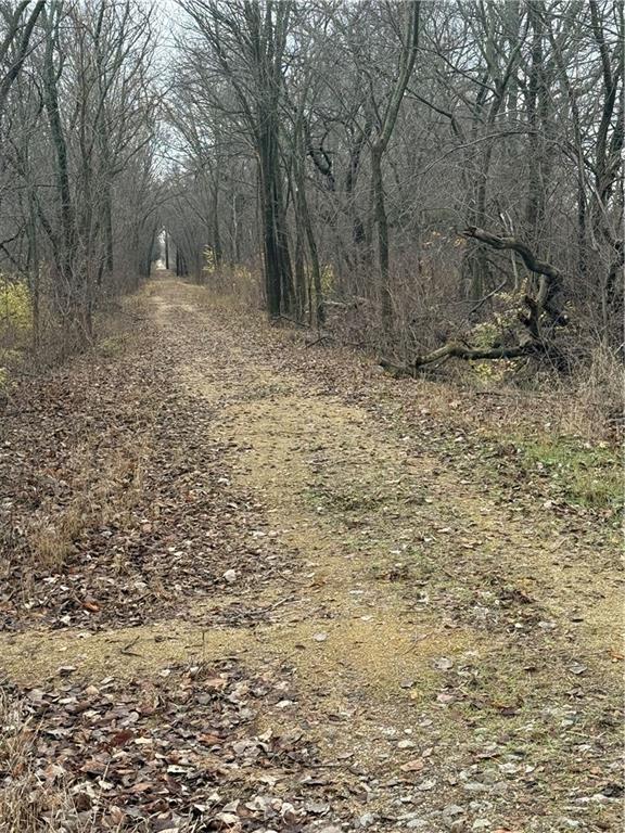 South Stubbs Road Quenemo, KS 66528 - Photo 9 of 29