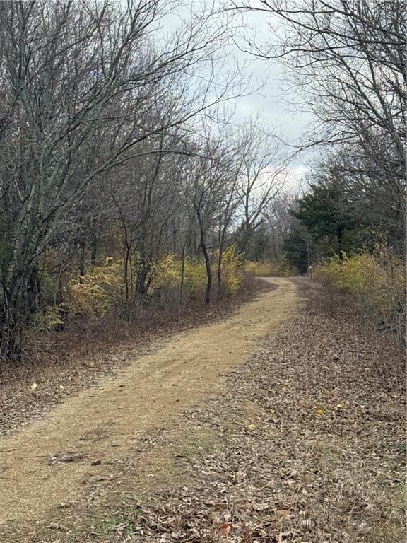 South Stubbs Road Quenemo, KS 66528 - Photo 10 of 29