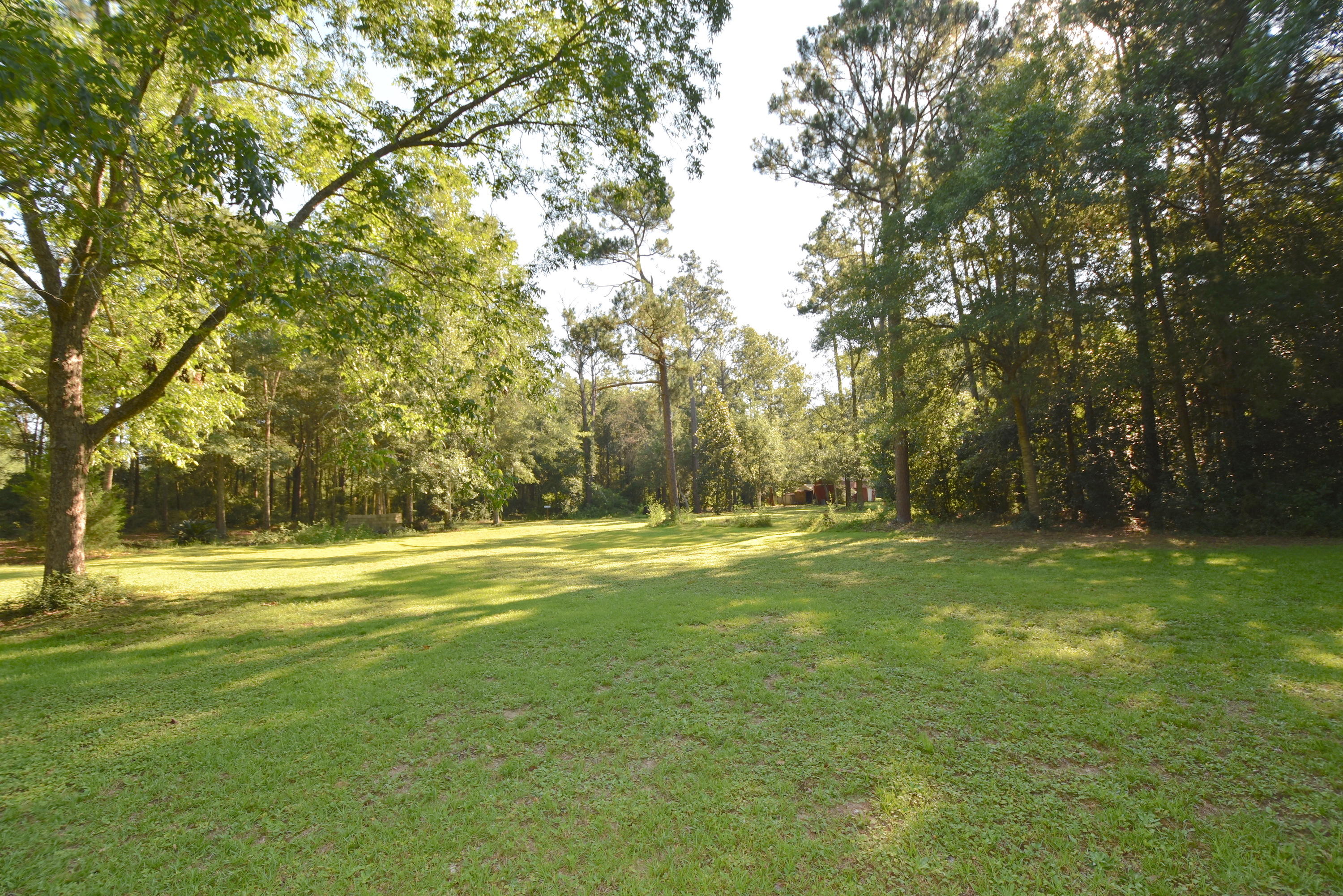 2953 Adams Road Crestview, FL 32536 - Photo 43 of 51 a yard with trees in the background