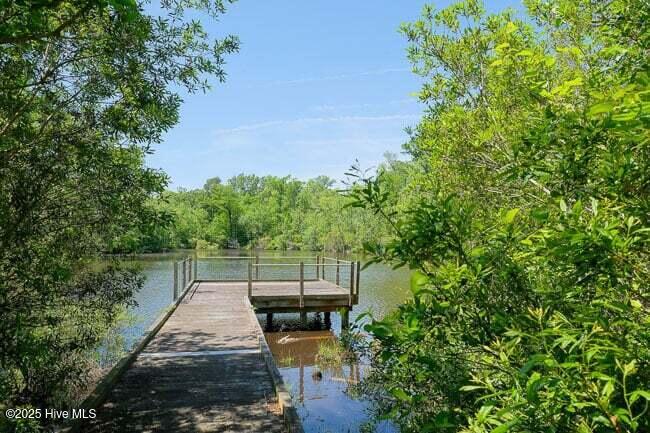 120 Colleton Circle Edenton, NC 27932 - Photo 10 of 11 Riversound Dock