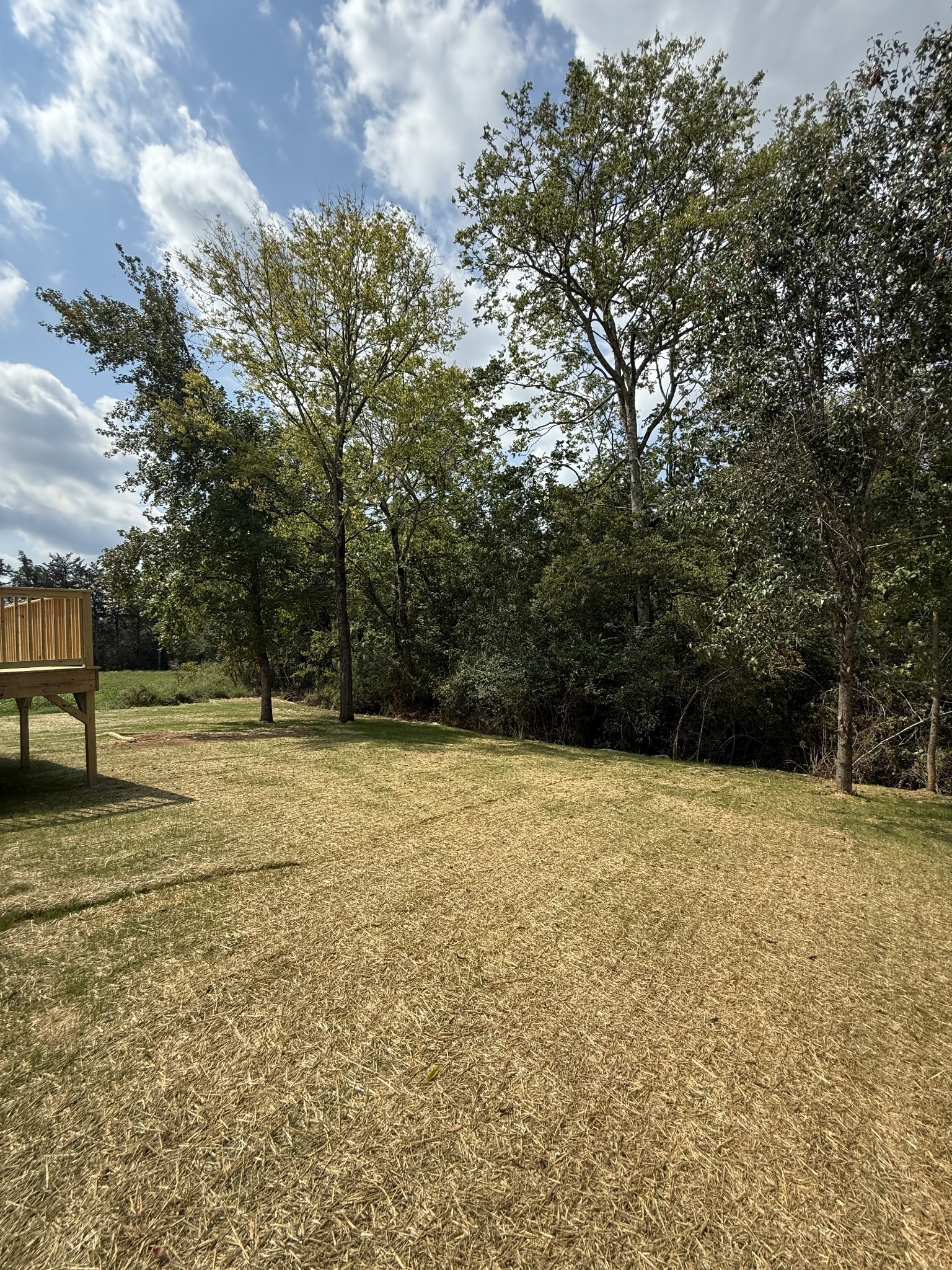 31 Spring House Drive Manchester, TN 37355 - Photo 32 of 32 a view of a yard with a trees