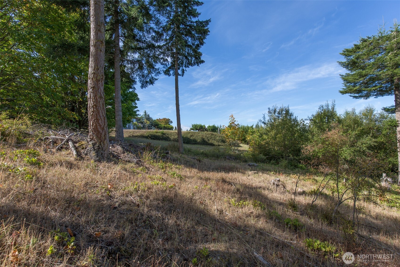 346 Ravens Ridge Road Sequim, WA 98382 - Photo 12 of 21 Gallery Image 12