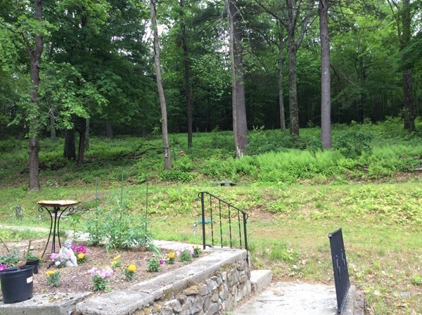 66 West Warren Road Ware, MA 01082 - Photo 22 of 25 a garden view with a seating space