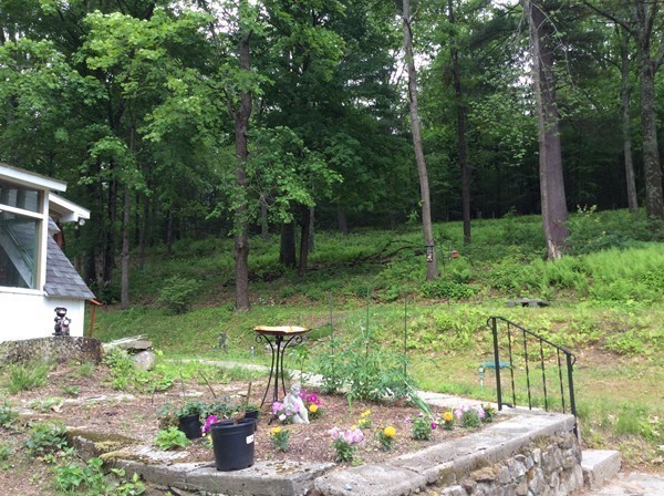 66 West Warren Road Ware, MA 01082 - Photo 23 of 25 a garden view with a seating space