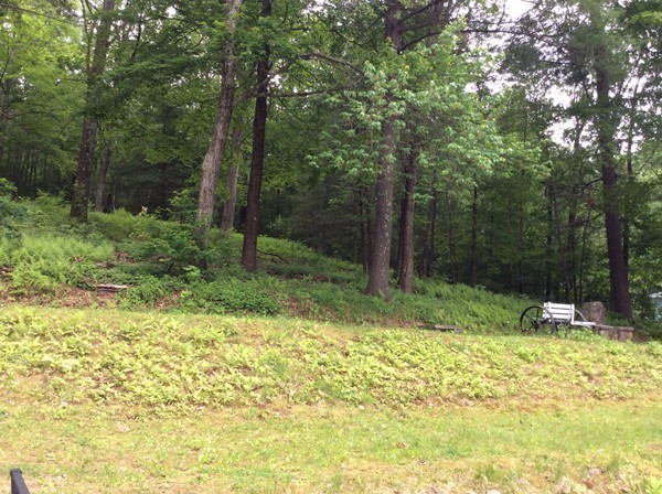 66 West Warren Road Ware, MA 01082 - Photo 24 of 25 a garden with trees in front of it