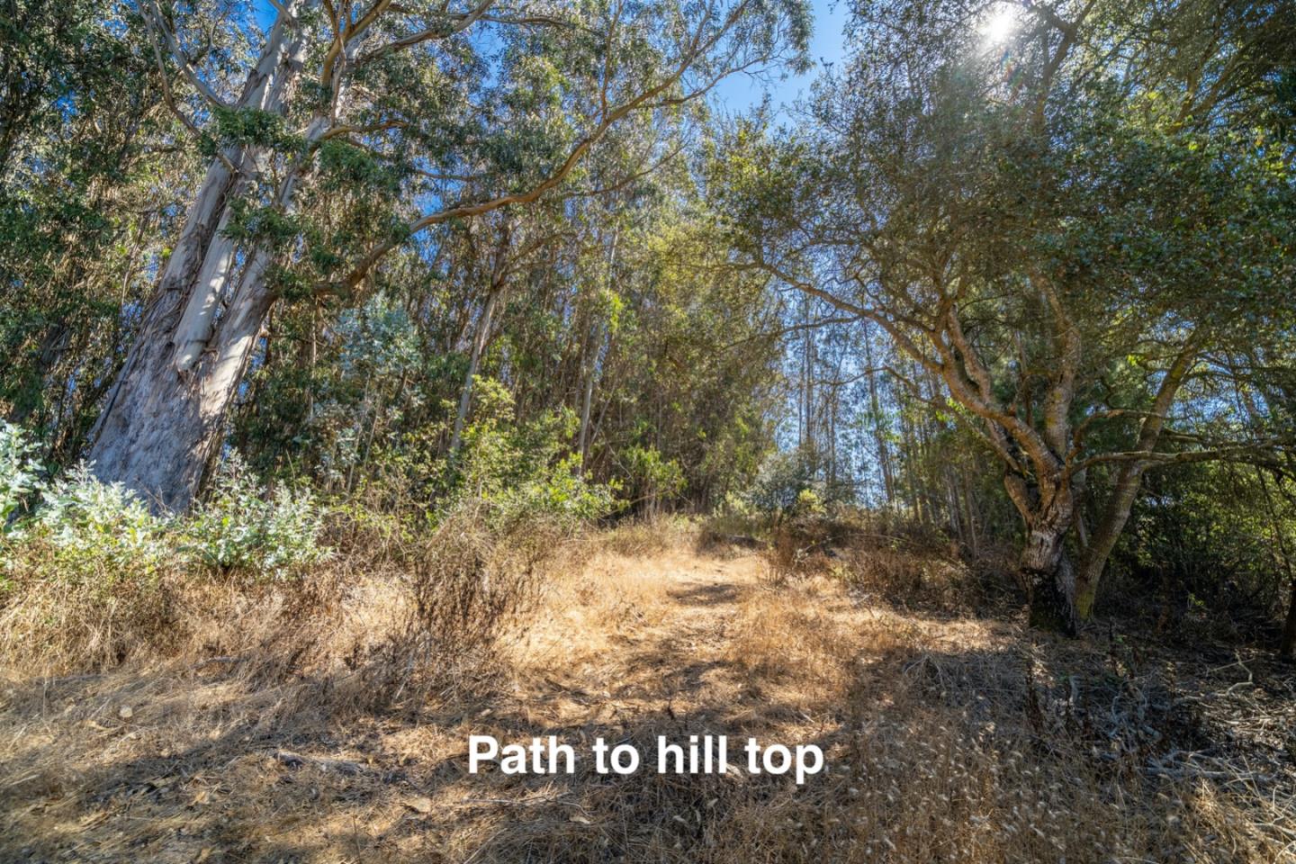 148 Echo Valley Road Prunedale, CA 93907 - Photo 41 of 45 Gallery Image 41